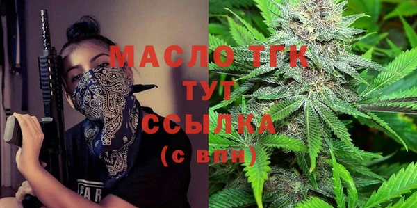 индика Ступино