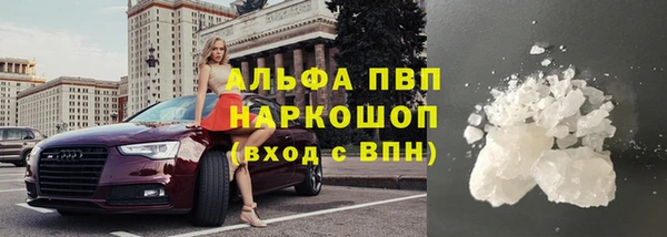 индика Ступино