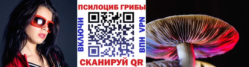 Купить где  Тамбов  Галлюциногенные грибы MAGIC MUSHROOMS 